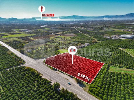 Αγροτεμάχια 8.593 τ.μ. για πώληση