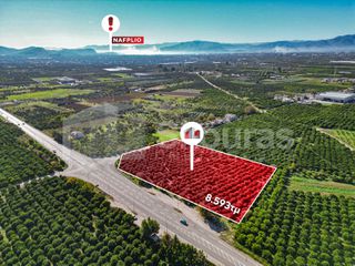 Αγροτεμάχια 8.593 τ.μ. για πώληση