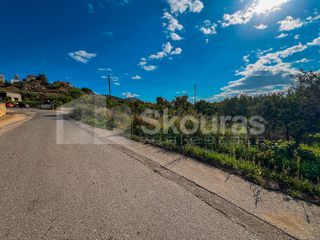 Αγροτεμάχια 5.850 τ.μ. για πώληση, Αργολίδα, Μιδέα-thumb-9