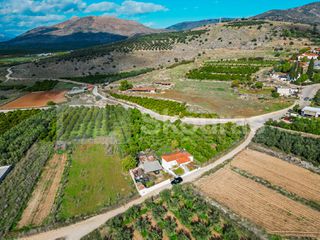 Αγροτεμάχια 5.850 τ.μ. για πώληση, Αργολίδα, Μιδέα-thumb-13