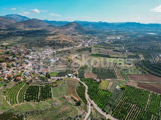 Αγροτεμάχια 5.850 τ.μ. για πώληση, Αργολίδα, Μιδέα-thumb-8