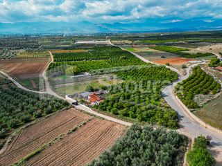 Αγροτεμάχια 5.850 τ.μ. για πώληση, Αργολίδα, Μιδέα-thumb-14