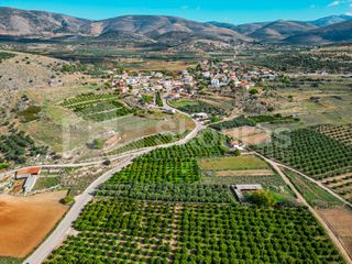 Αγροτεμάχια 5.850 τ.μ. για πώληση, Αργολίδα, Μιδέα-thumb-10