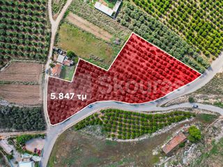 Αγροτεμάχια 5.850 τ.μ. για πώληση, Αργολίδα, Μιδέα-thumb-21