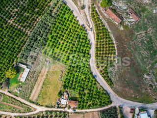 Αγροτεμάχια 5.850 τ.μ. για πώληση, Αργολίδα, Μιδέα-thumb-2