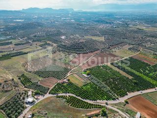 Αγροτεμάχια 5.850 τ.μ. για πώληση, Αργολίδα, Μιδέα-thumb-24