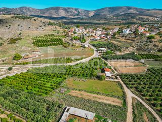 Αγροτεμάχια 5.850 τ.μ. για πώληση, Αργολίδα, Μιδέα-thumb-12