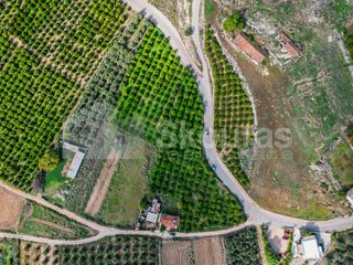 Αγροτεμάχια 5.850 τ.μ. για πώληση, Αργολίδα, Μιδέα-thumb-5