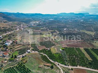 Αγροτεμάχια 5.850 τ.μ. για πώληση, Αργολίδα, Μιδέα-thumb-7