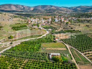 Αγροτεμάχια 5.850 τ.μ. για πώληση, Αργολίδα, Μιδέα-thumb-11