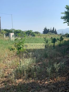 Parcel 1.600sqm for sale-Marathonas
