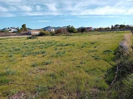 Οικόπεδο 1.700τ.μ. για πώληση-Αίγινα » Κυψέλη