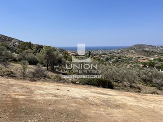 Αγροτεμάχια 2.280 τ.μ. προς πώληση