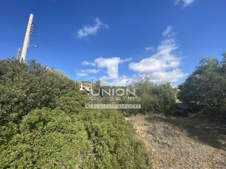 Οικόπεδο 763 τ.μ. προς πώληση