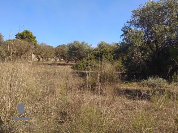Parcel 1.187 sqm for sale, Athens - East, Koropi