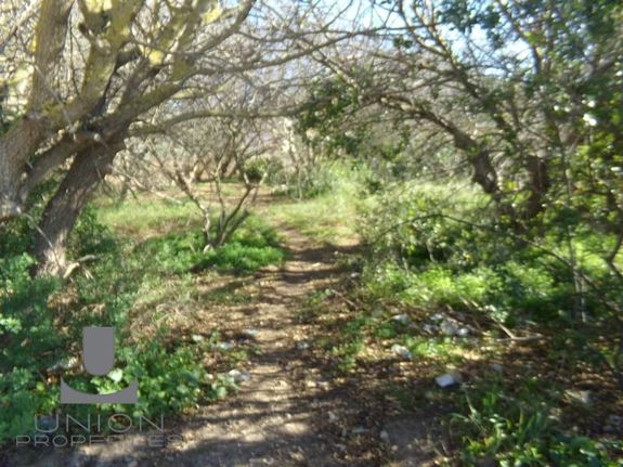 Land plot 434 sqm for sale, Athens - East, Koropi