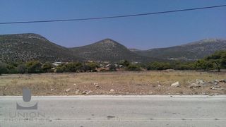 Οικόπεδο 6.035 τ.μ. για ενοικίαση