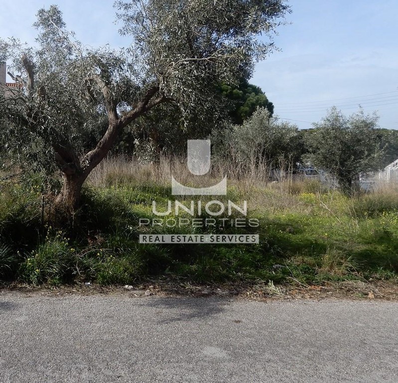 Οικόπεδο 4.000 τ.μ. προς ενοικίαση, Κίτσι