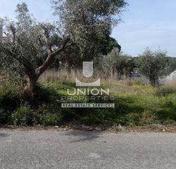 Οικόπεδο 4.000 τ.μ. για ενοικίαση