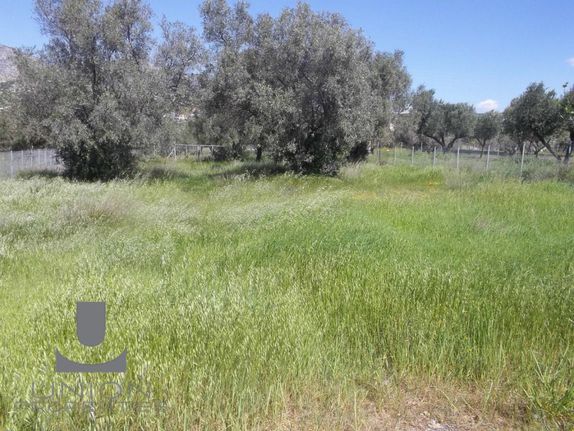Parcel 2.100 sqm for sale, Athens - East, Koropi