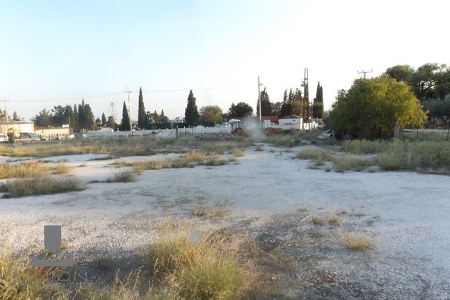Αγροτεμάχια 1.700 τ.μ. για πώληση, Αθήνα - Νότια Προάστια, Βάρη- Βάρκιζα