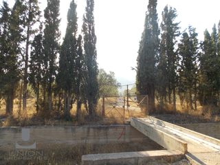 Οικόπεδο 60.000 τ.μ. προς πώληση