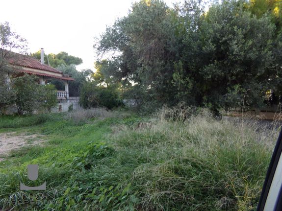 Land plot 243,25 sqm for sale, Athens - East, Koropi