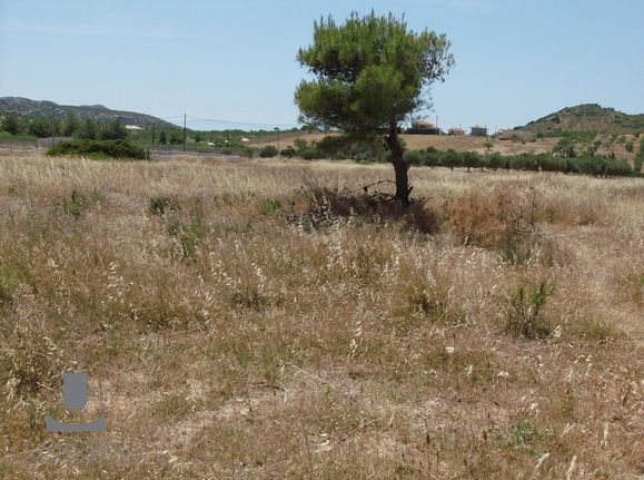Αγροτεμάχια 3.500 τ.μ. για πώληση, Αττική - Υπόλοιπο, Παλαιά Φώκαια
