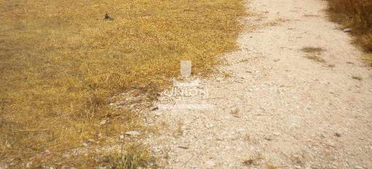 Land plot 800,57 sqm for sale, Athens - South, Vari - Varkiza