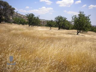 Οικόπεδο 10.000 τ.μ. για ενοικίαση