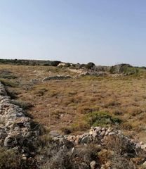 Οικόπεδο 12.000 τ.μ. για πώληση