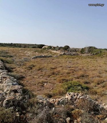 Οικόπεδο 12.000 τ.μ. για πώληση, Κυκλάδες, Πάρος