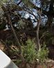 Land plot 575sqm for sale-Palaio Faliro » Mpatis