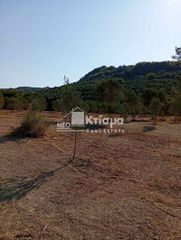 Αγροτεμάχια 4.131 τ.μ. για πώληση