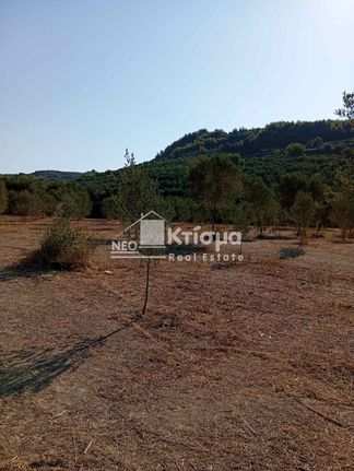Αγροτεμάχια 4.131 τ.μ. για πώληση, Ν. Ηλείας, Πύργος