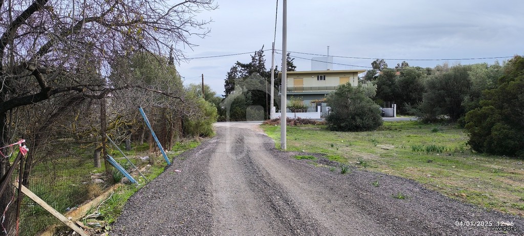 Οικόπεδο 250 τ.μ. προς πώληση, Σελήνια