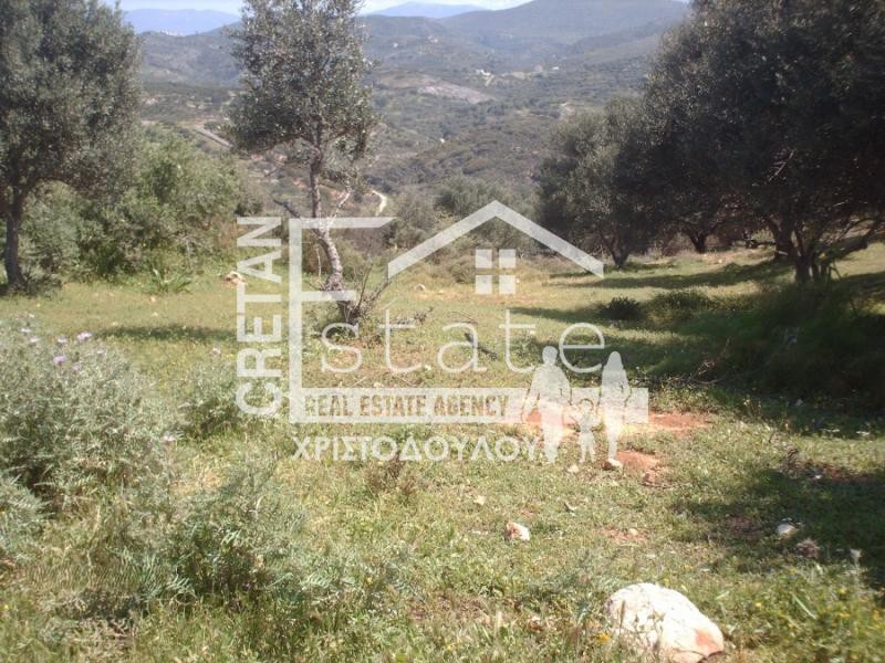 Αγροτεμάχια 50.000 τ.μ. πρός πώληση, Ν. Ηρακλείου, Γούβες