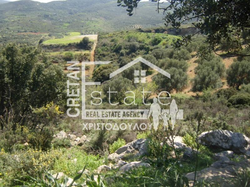Αγροτεμάχια 50.000 τ.μ. πρός πώληση, Ν. Ηρακλείου, Γούβες
