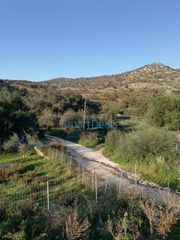 Land plot 810 sqm for sale