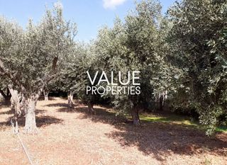 Land plot 547 sqm for sale