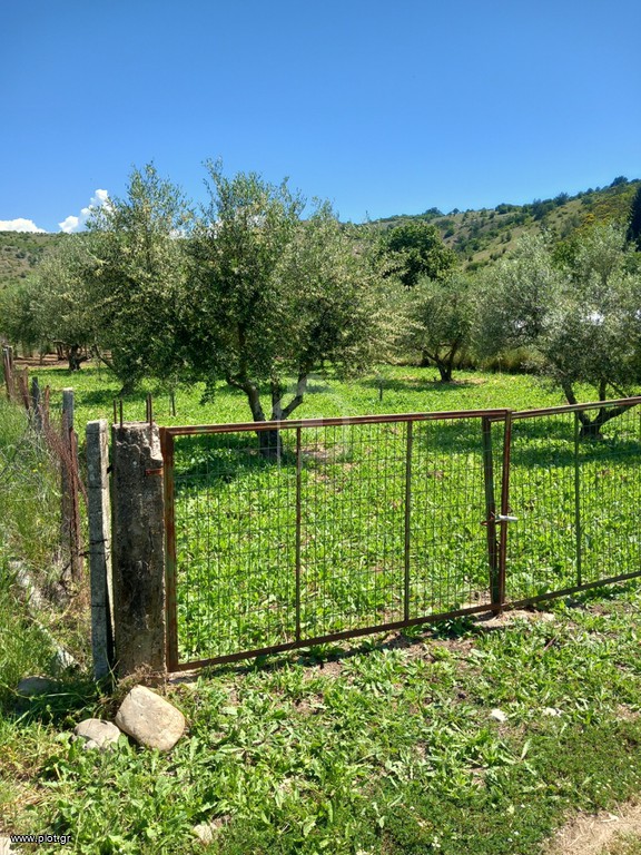 Οικόπεδο 515 τ.μ. πρός πώληση, Ν. Τρικάλων, Βασιλική