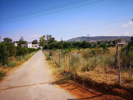 Οικόπεδο 6.072 τ.μ. για ενοικίαση