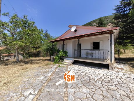 Μονοκατοικία 70τ.μ. για πώληση-Καλάβρυτα » Δροσάτο