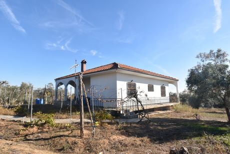 Parcel 20.000sqm for sale-Pidna » Kitros