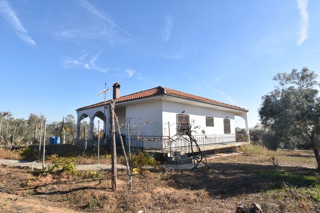 Parcel 20.000 sqm for sale, Pieria Prefecture, Pidna