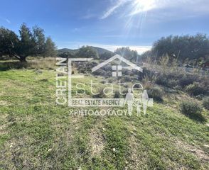 Αγροτεμάχια 3.350 τ.μ. για πώληση