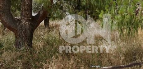 Οικόπεδο 329τ.μ. για πώληση-Γλυκά νερά » Φούρεσι