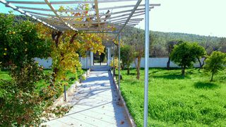Μονοκατοικία 240 τ.μ. για πώληση, Αργολίδα, Ερμιόνη-thumb-26