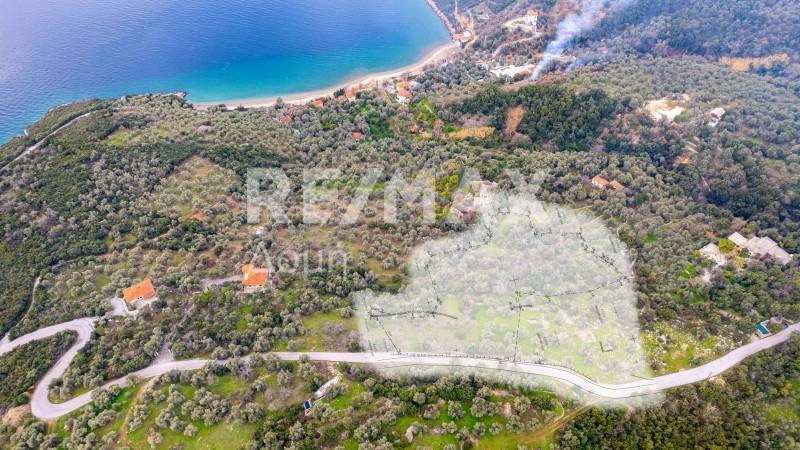 Αγροτεμάχια 5.843 τ.μ. πρός πώληση, Μαγνησία, Αργαλαστή