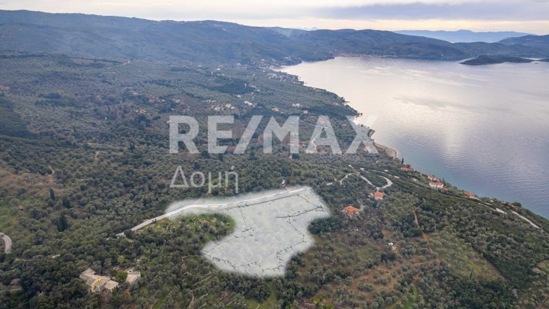Αγροτεμάχια 5.843 τ.μ. πρός πώληση, Μαγνησία, Αργαλαστή